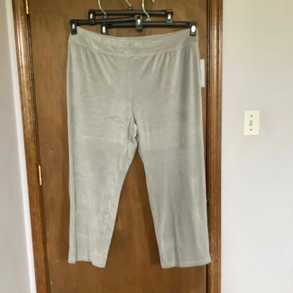 2 pairs Sportelle gray velour velvet soft comfy pull on pant 2X - Picture 3 of 15